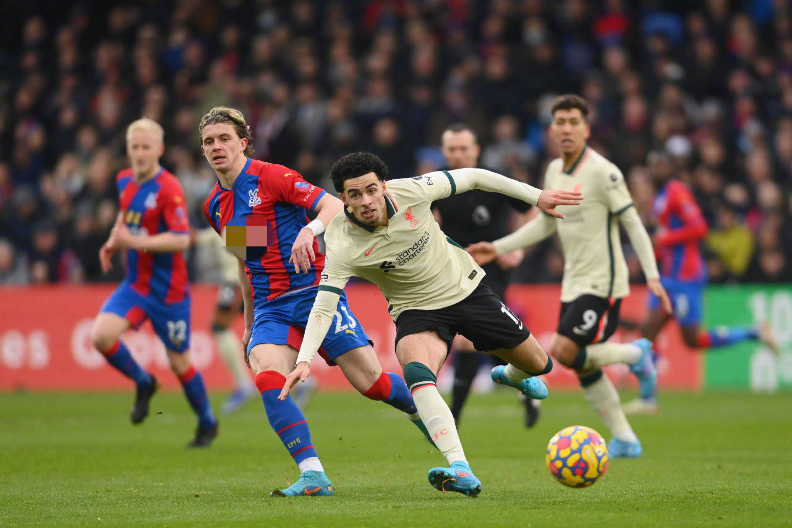 现沙特队的 现沙特队的